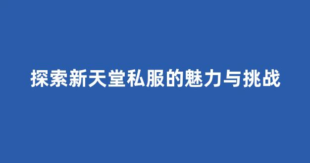 探索新天堂私服的魅力与挑战