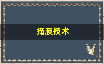 掩膜技术(掩膜操作)_https://www.gzyhshgzzx.com_大商所_第1张