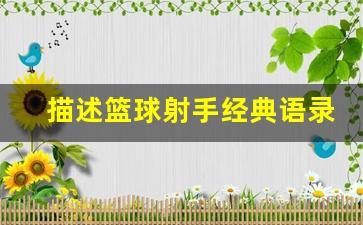 篮球的射手-描述篮球射手经典语录