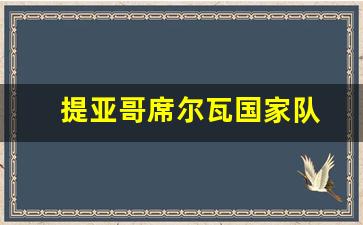 提亚哥席尔瓦国家队-蒂亚戈·席尔瓦在米兰号码