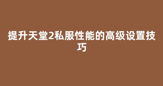 提升天堂2私服性能的高级设置技巧