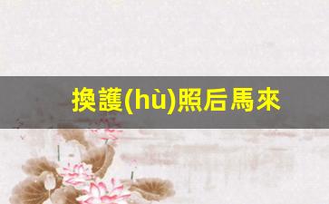 馬來西亞換護(hù)照流程解析，換證后簽證事宜及換證時(shí)長須知