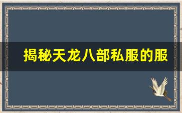 揭秘天龙八部私服的服务器优化措施，卡顿问题解决了吗