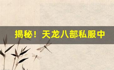 揭秘！天龙八部私服中隐藏的神秘商店位置