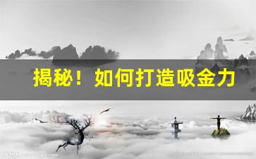 揭秘！如何打造吸金力十足的网站
