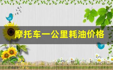 摩托车一公里多少油费_摩托车一公里耗油价格多少