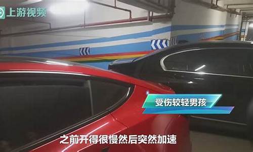 撞墙特斯拉车主再发声_特斯拉撞墙官方回复未踩刹车