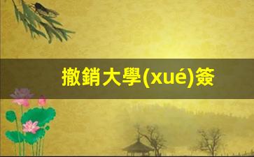 撤銷大學(xué)簽證后，留學(xué)生需等待多久才能合法返回我國？