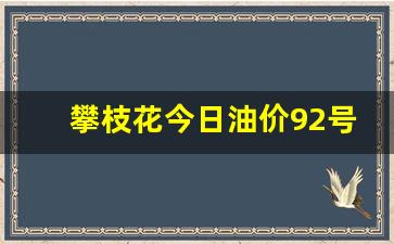 攀枝花今日油价92号汽油价格表查询-攀枝