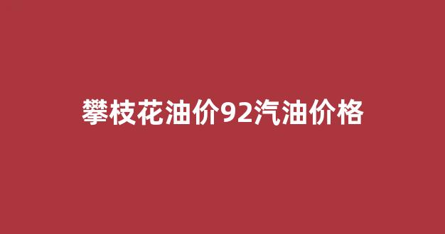 攀枝花油价92汽油价格_攀枝花石油价格查询