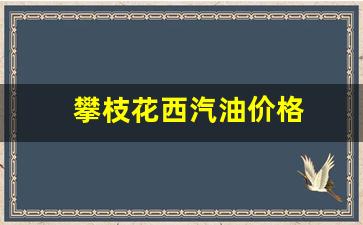 攀枝花西汽油价格-攀枝花西汽油价格多少
