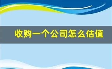 收购一个公司怎么估值(收购公司如何估值作价)_https://www.erdeww.com_期货_第1张