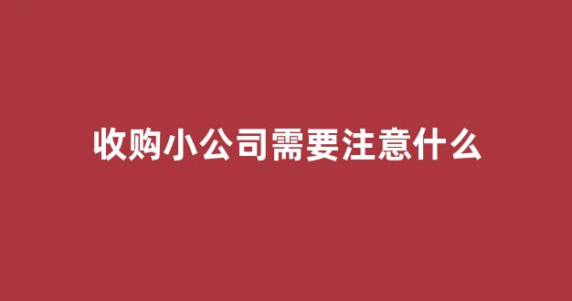 收购小公司需要注意什么(收购一家小公司怎么操作)_https://www.shshucaipeisong.com_上交所_第1张
