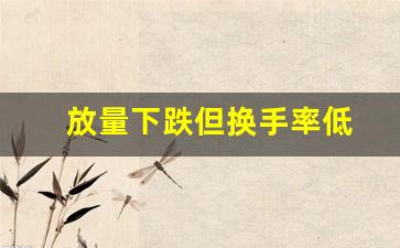 放量下跌但换手率低(换手率低)_https://www.gen-fastener.com_中金所_第1张