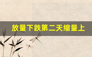 放量下跌第二天缩量上涨(放量下跌第二天缩量上涨说明什么)_https://www.luoxuangg888.com_北交所_第1张