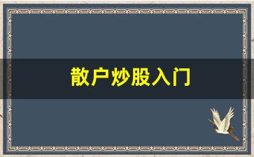 散户炒股入门(散户炒股赚钱最简单有效的方法)_https://www.gzyhshgzzx.com_郑商所_第1张