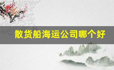 散货船海运公司哪个好点(比较好的散货船公司)_https://www.jumanxin.com_上交所_第1张