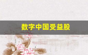 数字中国受益股(数字中国概念龙头股2020)_https://www.taocizhiliang.com_装修流程_第1张