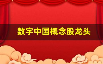 数字中国概念股龙头(数字中国概念股龙头三维通信)_https://www.gen-fastener.com_郑商所_第1张