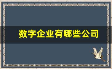 数字企业有哪些公司(数字企业排名)_https://www.taocizhiliang.com_装修公司_第1张