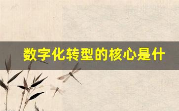 数字化转型的核心是什么(数字化转型的核心是什么的转变)_https://www.wanyuyiyao.com_创业板_第1张