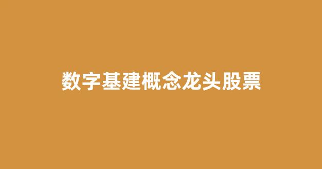 数字基建概念龙头股票(数字基建概念龙头股票排名)_https://www.hhem8.com_深交所_第1张