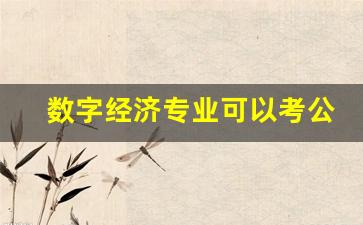 数字经济专业可以考公务员吗(数字经济专业好就业吗)_https://www.qldgs.com_内盘期货_第1张