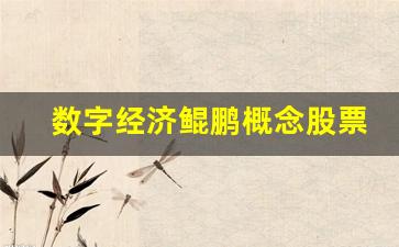 数字经济鲲鹏概念股票(数字经济股龙头)_https://www.shshucaipeisong.com_北交所_第1张