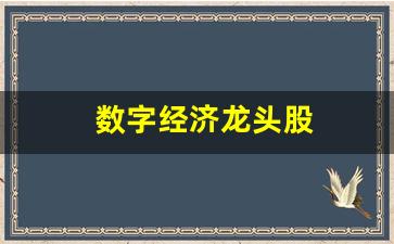 数字经济龙头股(数字经济龙头股票排名前十)_https://www.gdbxwh.com_天猫运营_第1张