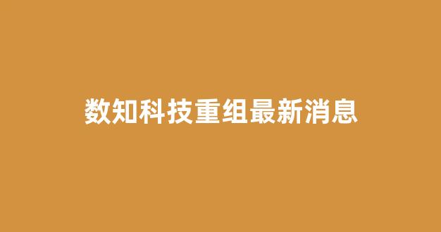 数知科技重组最新消息(数知科技 最新消息)_https://www.heiljjianzu.com_科创板_第1张