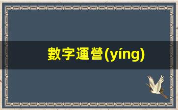 數字運營(yíng)主要做什么的插圖