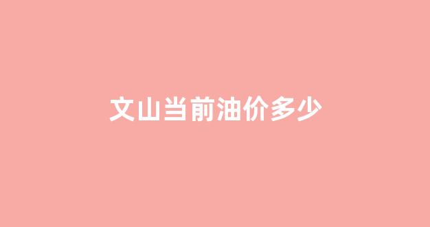 文山油价查询_文山当前油价多少