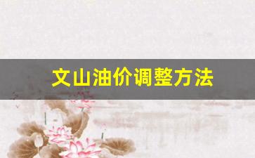 文山油价调整方法最新消息_文山油价调整方法