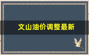 文山油价查询_文山油价调整最新
