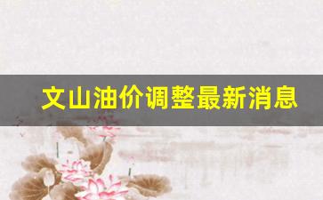 文山今日油价92汽油中石化-文山油价调整最新消息