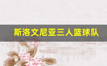 斯洛文尼亚三人篮球国家队-斯洛文尼亚三人篮球队