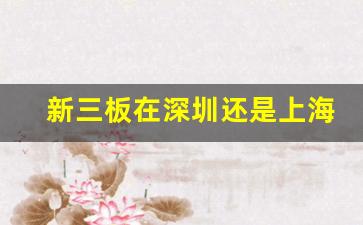 新三板在深圳还是上海(新三板是深圳还是上海)_https://www.heiljjianzu.com_上交所_第1张