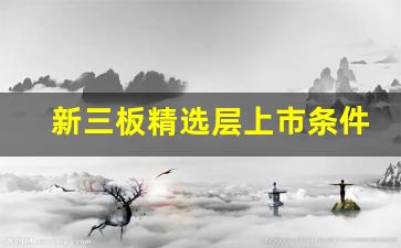 新三板精选层上市条件(新三板精选层上市条件和要求)_https://www.luoxuangg888.com_北交所_第1张