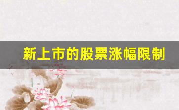 新上市的股票涨幅限制(新上市的股票涨跌幅限制)_https://www.wanyuyiyao.com_创业板_第1张