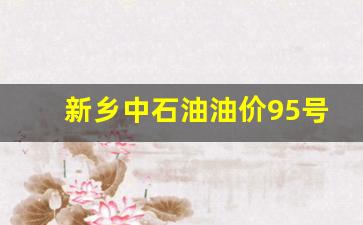 新乡市油价95_新乡中石油油价95号油价