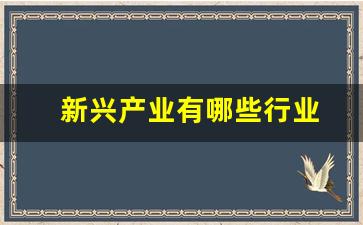 新兴产业有哪些行业(新兴产业是哪些产业)_https://www.haiwangdasha.com_大商所_第1张
