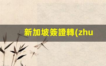 新加坡簽證轉(zhuǎn)英國簽證(新加坡簽證需要多少錢)