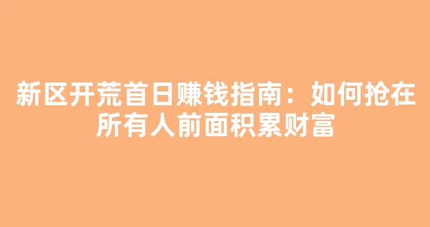 新区开荒首日赚钱指南：如何抢在所有人前面积累财富