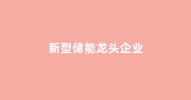 新型储能龙头企业(新型储能龙头企业)_https://www.jnskb.com_效果图_第1张