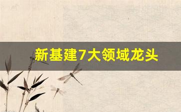 新基建7大领域龙头(新基建里的龙头行业是谁)_https://www.eamstsz.com_上交所_第1张