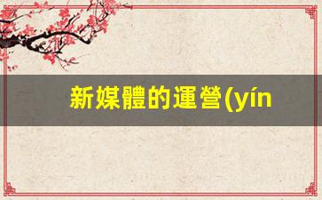 新媒體的運營(yíng)和推廣插圖