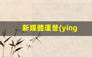 新媒體運營(yíng)怎么做策劃插圖