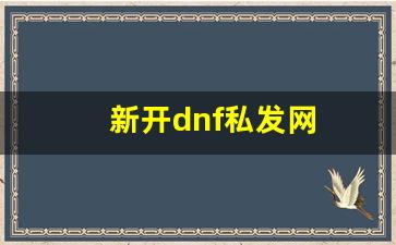 今日新开dnf网：新开dnf私发网(dnf发布网站) (12)