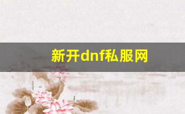 新开dnf私服网 (5)
