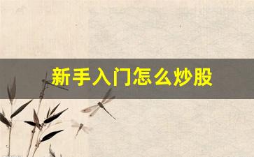 新手入门怎么炒股(新手如何入门炒股票)_https://www.brunchezvous.com_自由行_第1张
